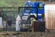 Околу 350.000 литри нафта истекоа од нафтовод во Германија - Либертас