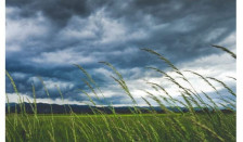 Наутро магла, преку ден сончево до 13 степени - Либертас