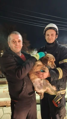 Пожарникарите од Кавадарци спасија куче од водите на реката Луда Мара - Либертас