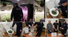 „Семеен бизнис“ во Богородица: Таткото ја одгледувал во шатор, синот ја пуштал во ВЦ шолја – откриена лабораторија за марихуана - Либертас