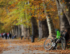 Сончево време со мала до умерена облачност - Либертас