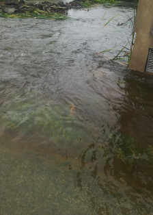 Поплавени куќи, ниви и објекти во Ресенско - Либертас