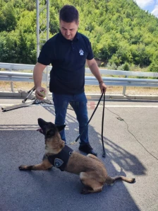 Полициското куче Атина се грижи за безбедноста, нејзина специјалност е заштита од експлозивни средства и направи - Либертас