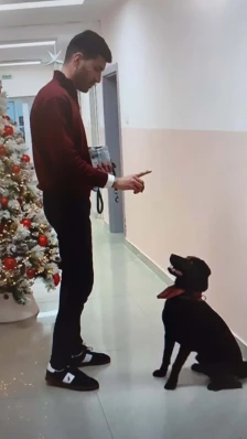 Лабрадор вклучен во терапевтскиот процес на Клиниката за психијатрија - Либертас