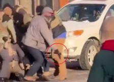 (Видео) Се појавија снимки од пукањето во Минеаполис кога агенти за имиграција убија маж - Либертас