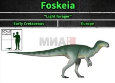 Мал диносаурус пронајден во Шпанија, научно „го пренапишува“ еволутивното дрво - Либертас