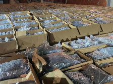 „Радар“: Обвинителката која ја водеше акцијата за рекордната заплена на дрога во Србија ќе биде сменета - Либертас