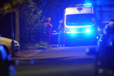 Жена почина по удар од товарно возило во Струга – возачот е уапсен - Либертас