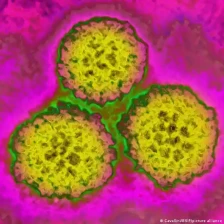 Спречување на ракот „пред да започне“ - Либертас