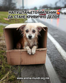 5 од 6 заловени кучиња имаат сопственик - бараме напуштањето да стане кривично дело❗️ - Либертас