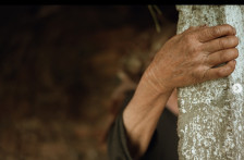 Баба од село Челопек раскажува за нападот од можниот сериски убиец: Почна да ме удира, па да ме гуши! - Либертас