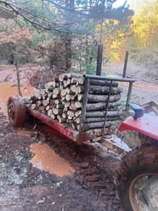(Фото) Нелегална сеча на Галичица: Фатен трактор со дабови дрва спремни за транспорт - Либертас