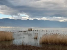 Редок вид на чапја се гнезди крај Дојранското езеро - Либертас
