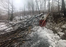 Во невремето во Хрватска оштетени 40 основни и средни училишта, како и 24 градинки - Либертас