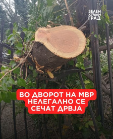 Зелен хуман град: Во дворот на МВР нелегално се сечат дрвја - Либертас