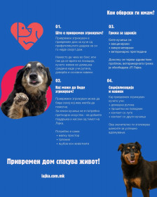 ЈП Лајка ја промовира иницијативата за привремено згрижување на бездомни кучиња - Либертас