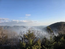 Пожар кај Арбанашко, Старо Нагоричане изгореа сува трева, смрека и дабова шума - Либертас