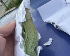 Запленети речиси 35.000 непријавени евра во автобус кој во земјава дошол од Германија - Либертас