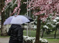 Најмногу дожд во Претор - Либертас
