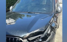 Мечка истрча на автопат во Грција, автомобил директно удри во неа - Либертас