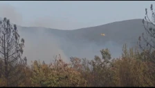 Под контрола е пожарот во Националниот парк „Пелистер“ - Либертас
