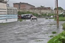 (Видео) Властите на Јамајка предупредуваат: Пазете се од крокодили
