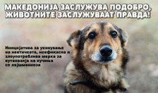 Животните заслужуваат правда: здруженијата за заштита на животните со иницијатива за укинување на мерката за евтаназија на кучиња со лајшманиоза