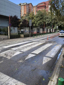 Општина Центар: Отстранети двете паднати дрвја