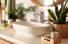 (Фото) Три растенија се идеални за бањата: го разубавуваат просторот, а се и корисни