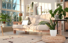 (Фото) Кралици на издржливоста: растенија кои успеваат дури и ако заборавите на нив