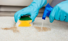 Јаките хемикалии се минато: ова природно средство ги отстранува сите дамки од теписите