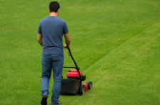 Драма на Балканец во Германија: Косел трева кај комшија за 50 евра, сега стравува за својата судбина и ги предупредува сонародниците