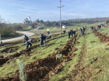 Општина Илинден: Успешно спроведена акцијата за пошумување
