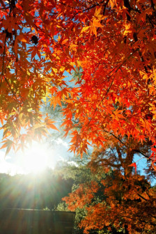 2025 година би можела да се изедначи со втората најтопла година во историјата на мерењето