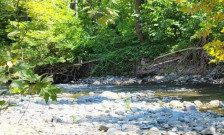 Кривична против поранешниот градоначалник на Демир Капија и за ексдиректорот на „Бошава“: ќе одговараат за загадување на животната средина и природата