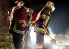 (Видео) Жената во Гостиварско била застрелана пред да биде закопана во дупка, покажа обдукцијата