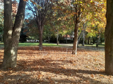 Ограбени малолетници во Градскиот парк, напаѓачите им се заканиле со остар предмет