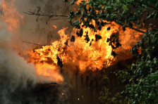 Рекорден топлотен бран ја погоди Австралија, предизвикувајќи шумски пожари