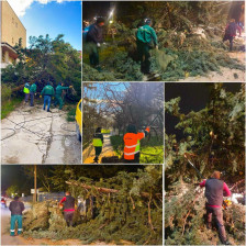 (Фото) На повеќе локации низ Скопје паднаа дрвја, Ѓорѓиевски: Екипите се на терен, реагираме навремено