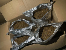 „На сите им е јасно дека без поддршка и логистика од врвот на власта не е возможно да се шверцуваат 5 тони дрога“, велат од СДСМ