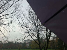 Променливо облачно со повремен слаб дожд и ветер