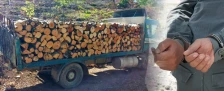 Раководители во ЈП „Национални Шуми - Беласица“ испорачувале дрва, а не наплаќале и направиле штета од 1,5 милиони денари