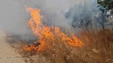 Уапсено лице од Старо Нагоричане, предивикало пожар во туѓ имот