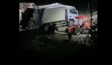 (Видео) Мечка снимена на паркинг во Ростуше