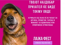 „Лајка-Фест“ во Градски парк: едукација, вдомување и заедништво со животните