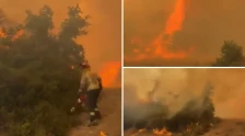(Видео) Голем шумски пожар во Шпанија: изгореа 330 хектари, евакуирани жители