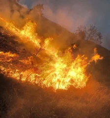 Со надчовечки напори на пожарникарите изгаснат голем пожар над Дебар