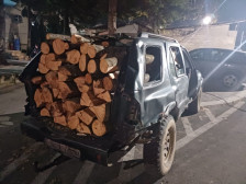 Полицијата ги фати на дело, приведени крадци на огревно дрво - Press24