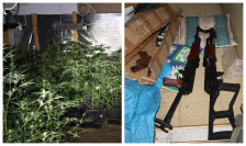 Арсенал оружје и плантажа од 488 стебла канабис откриени во Охридско - Press24