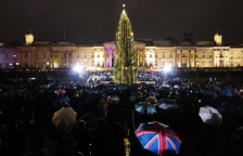 „Тажен кактус“: Норвешка ја брани елката-подарок во Лондон